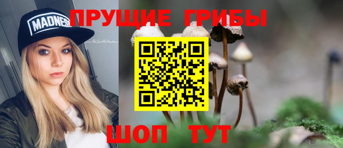 Псилоцибиновые грибы прущие грибы  Вход с VPN  Галлюциногенные грибы MAGIC MUSHROOMS  закладка  Кушва 