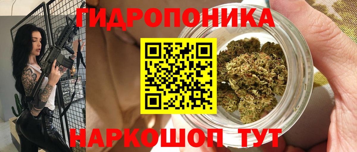 Марихуана гибрид Кушва
